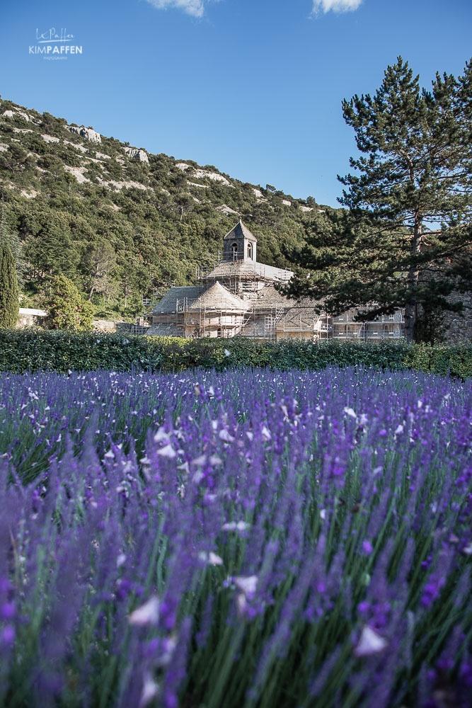 Abbey de Senanque Luberon
