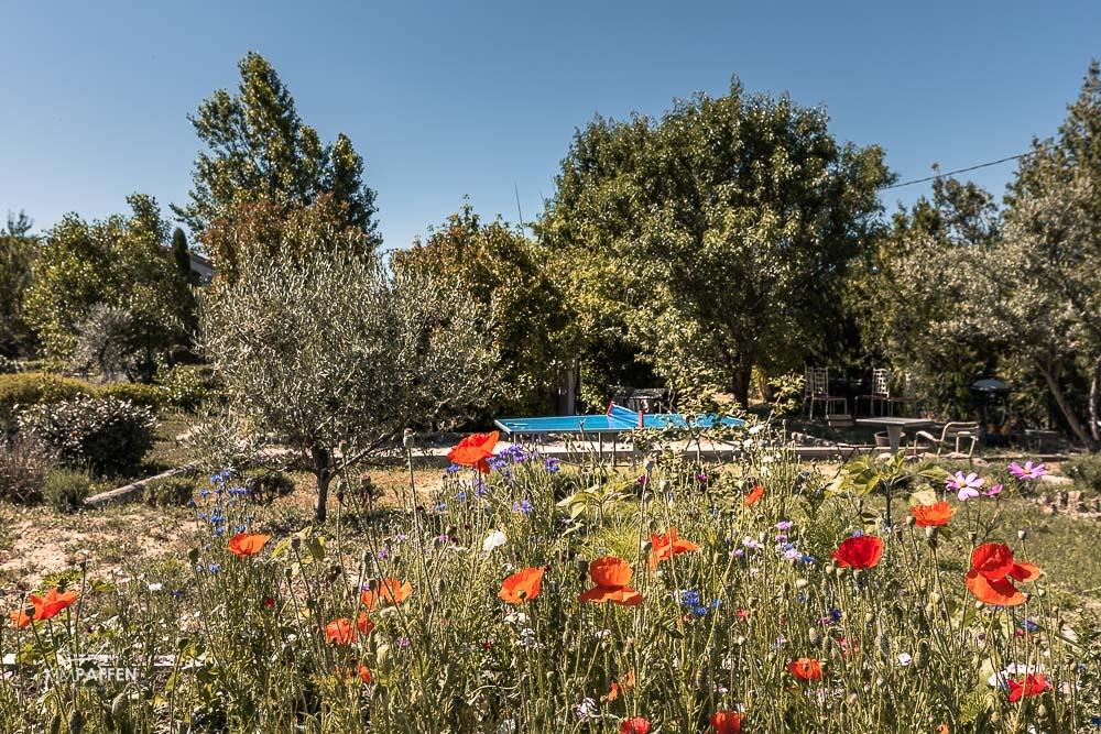 Apartments Le Mas de Cink Lush garden