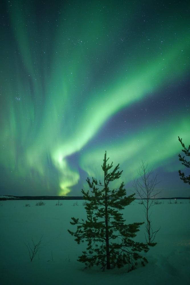 Arctic Road Trips northern lights tours rovaniemi review 11