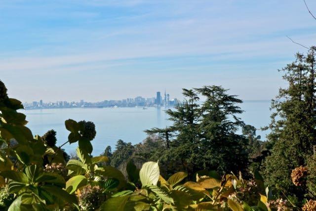 botanical gardens batumi