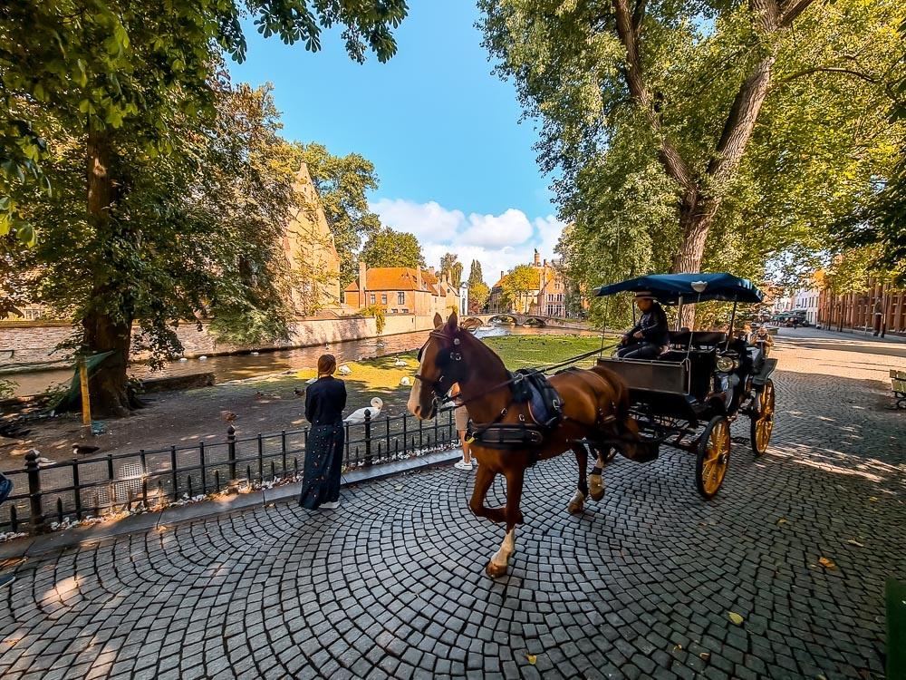 Bruges Horse Carriage