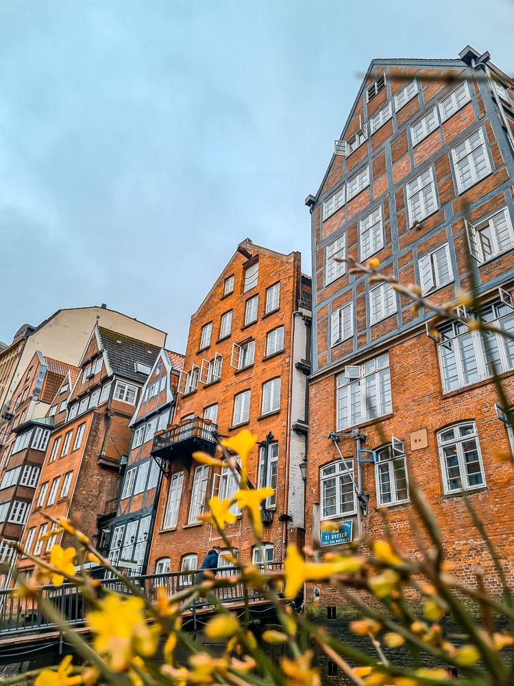 Deichstrasse hamburg 1