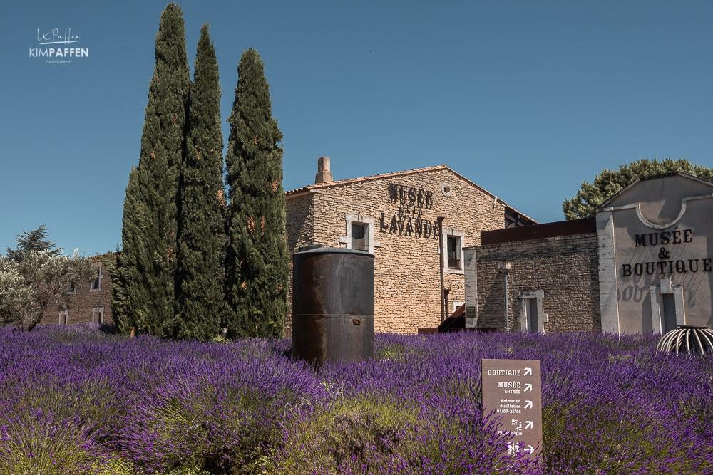 Lavender Museum Luberon Provence