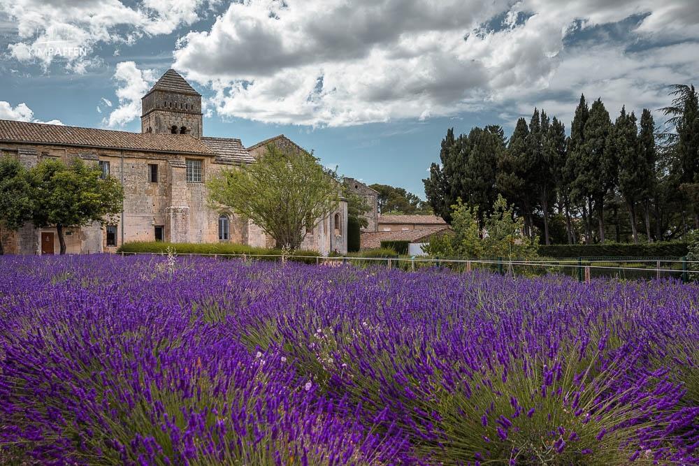 Lavenderfields Provence