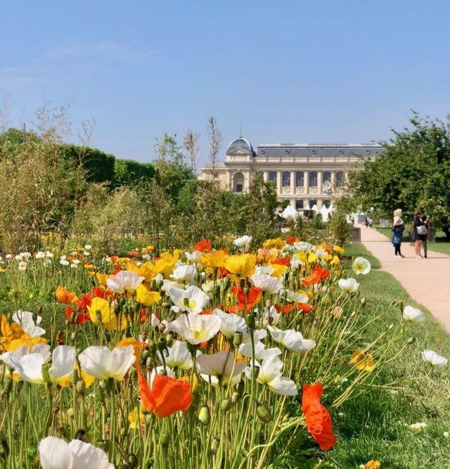 national museum garden paris