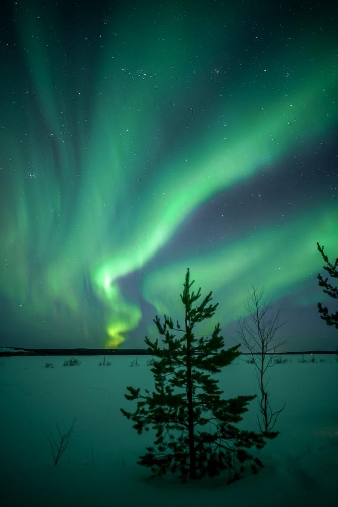 Northern Lights 6