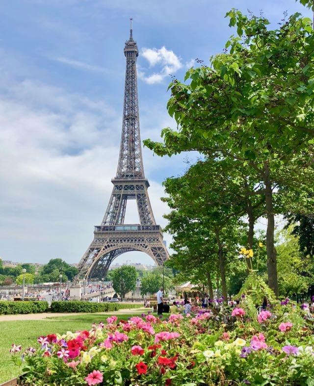 picknick at eiffel tower