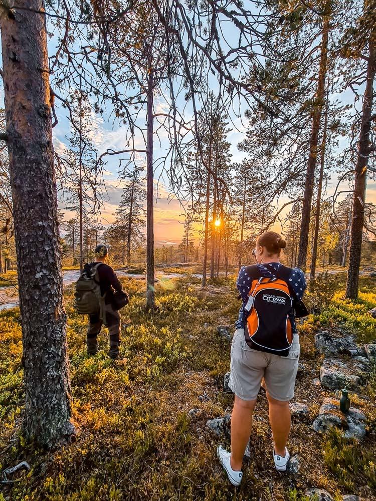 Rovaniemi Midnight Sun Photography Tour(2)