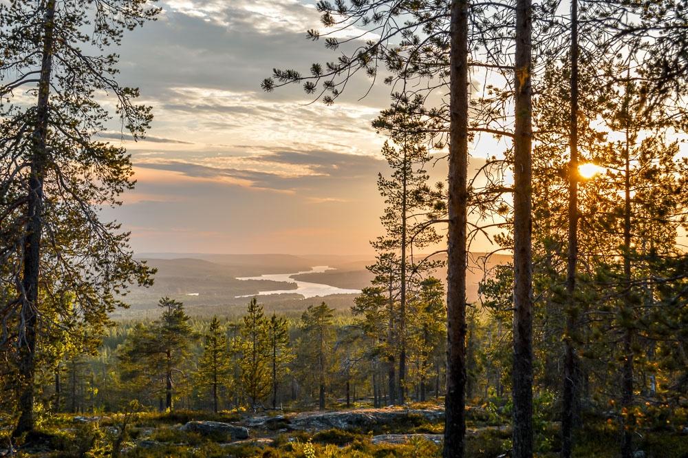 Rovaniemi Midnight Sun summer 1