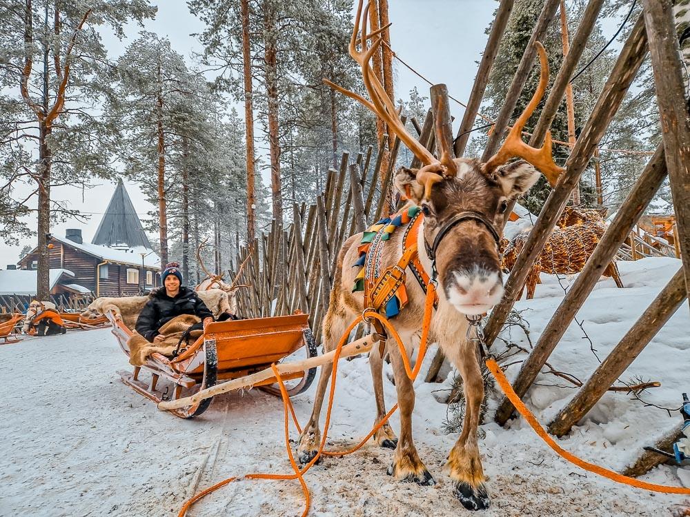 Santas reindeer sleigh ride 1