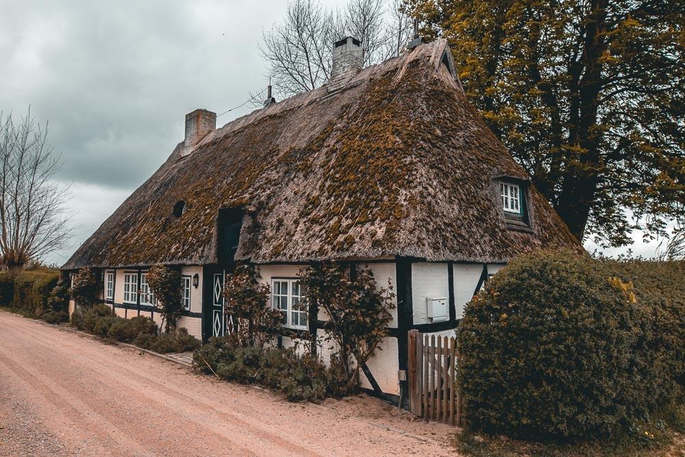 siesiby germany