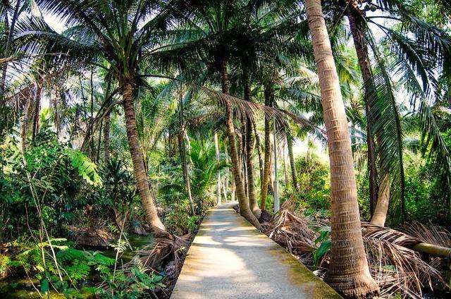 things to do around bangkok 1