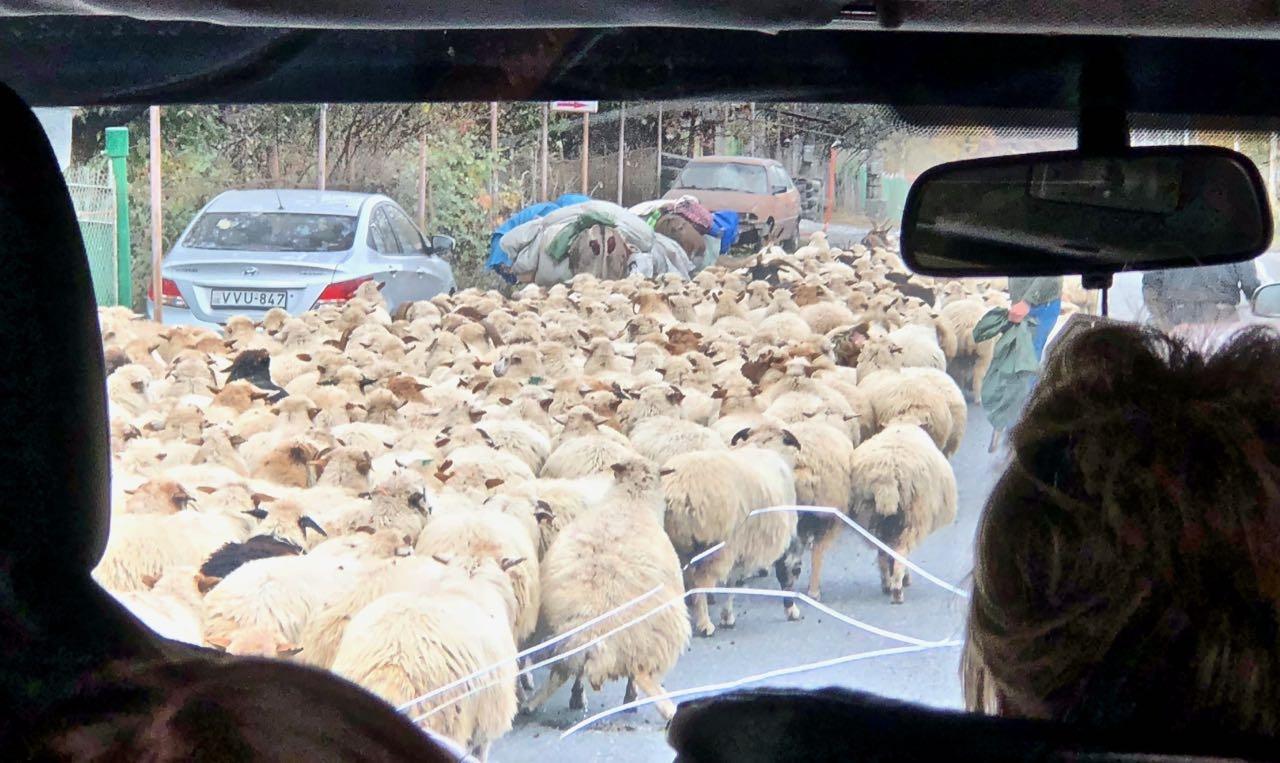 travel to kazbegi 4