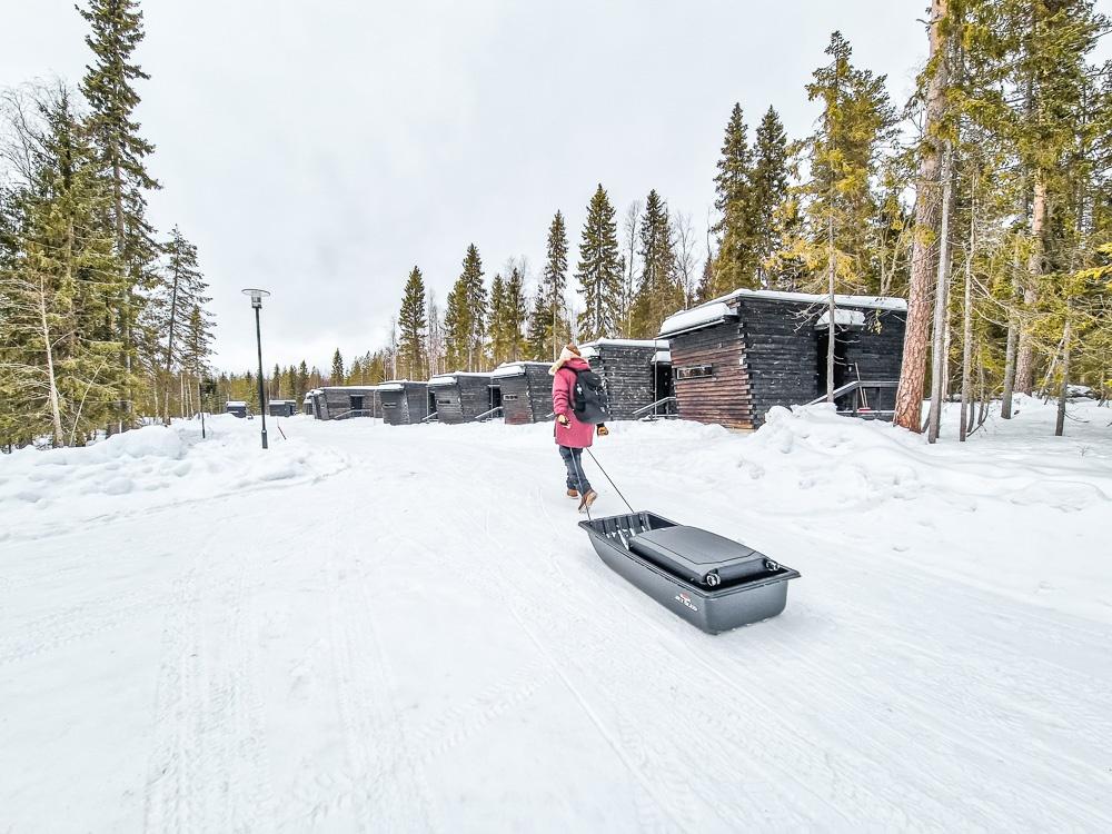 Vaattunki Wilderness Resort