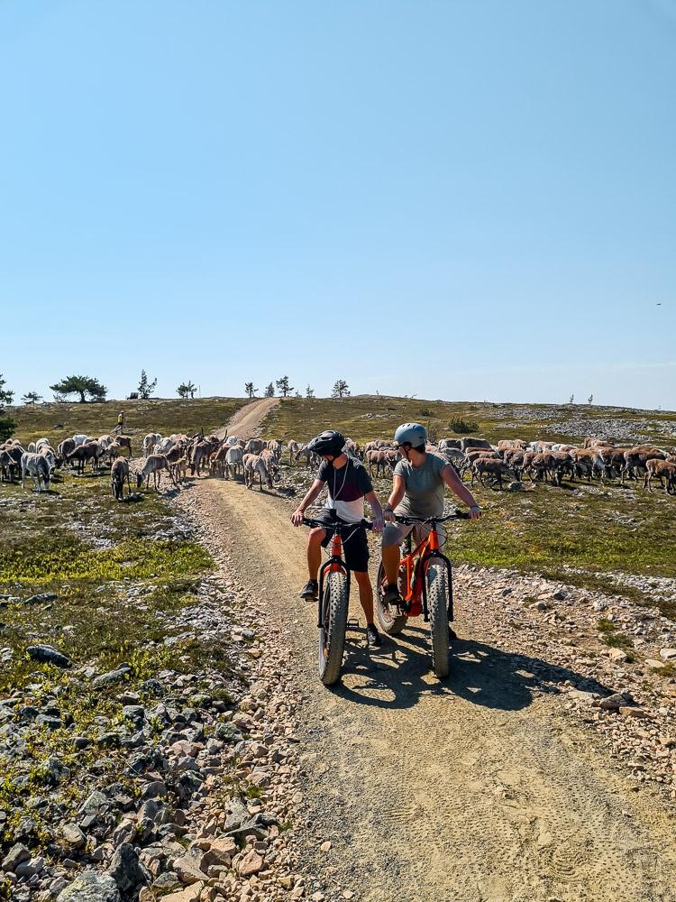 Yllas E Fatbike reindeer 4