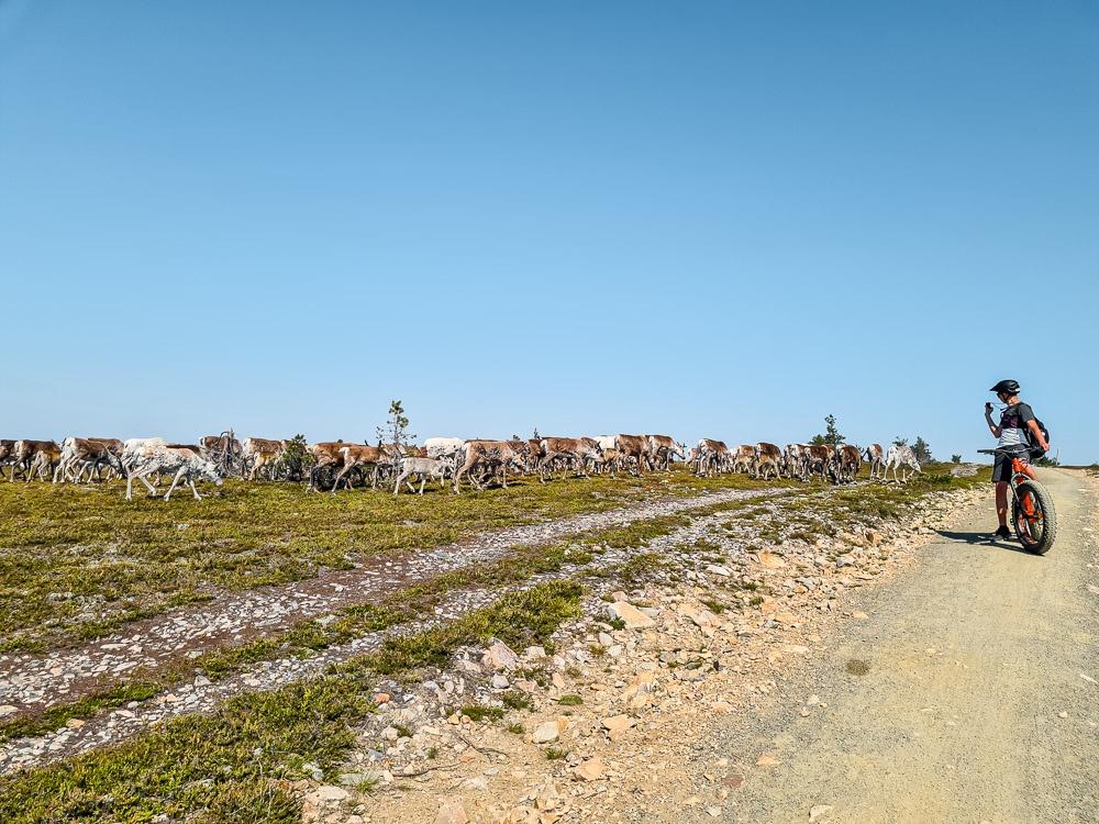 Yllas E Fatbike Reindeer 6