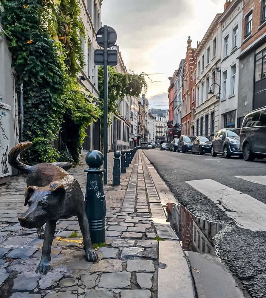 Zinneke Pis brussels