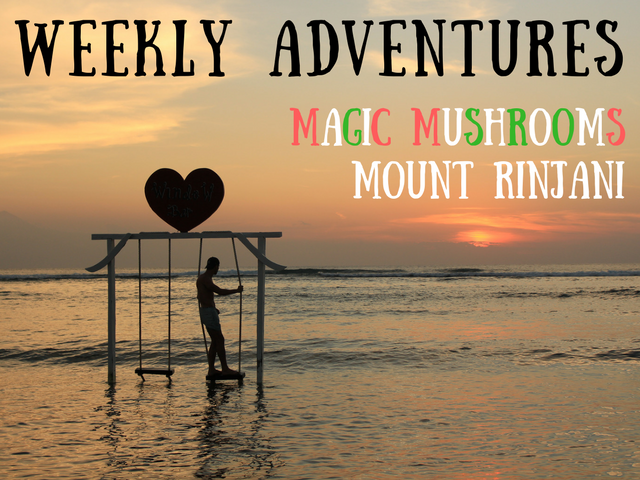 magic mushrooms in gili trawangan