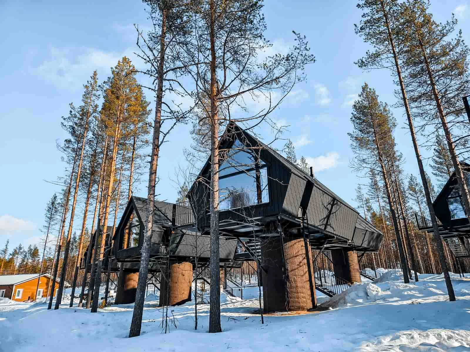 aito aurora treehouses 2