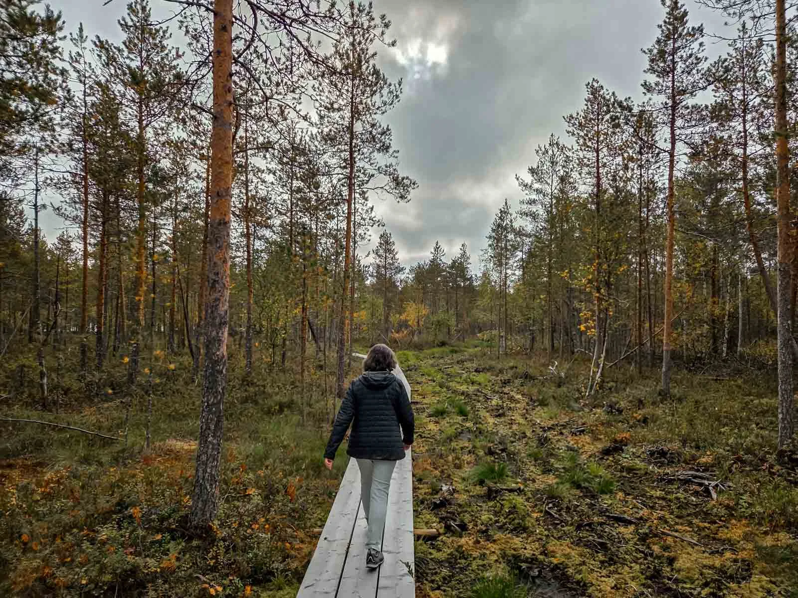 apukka hiking trail