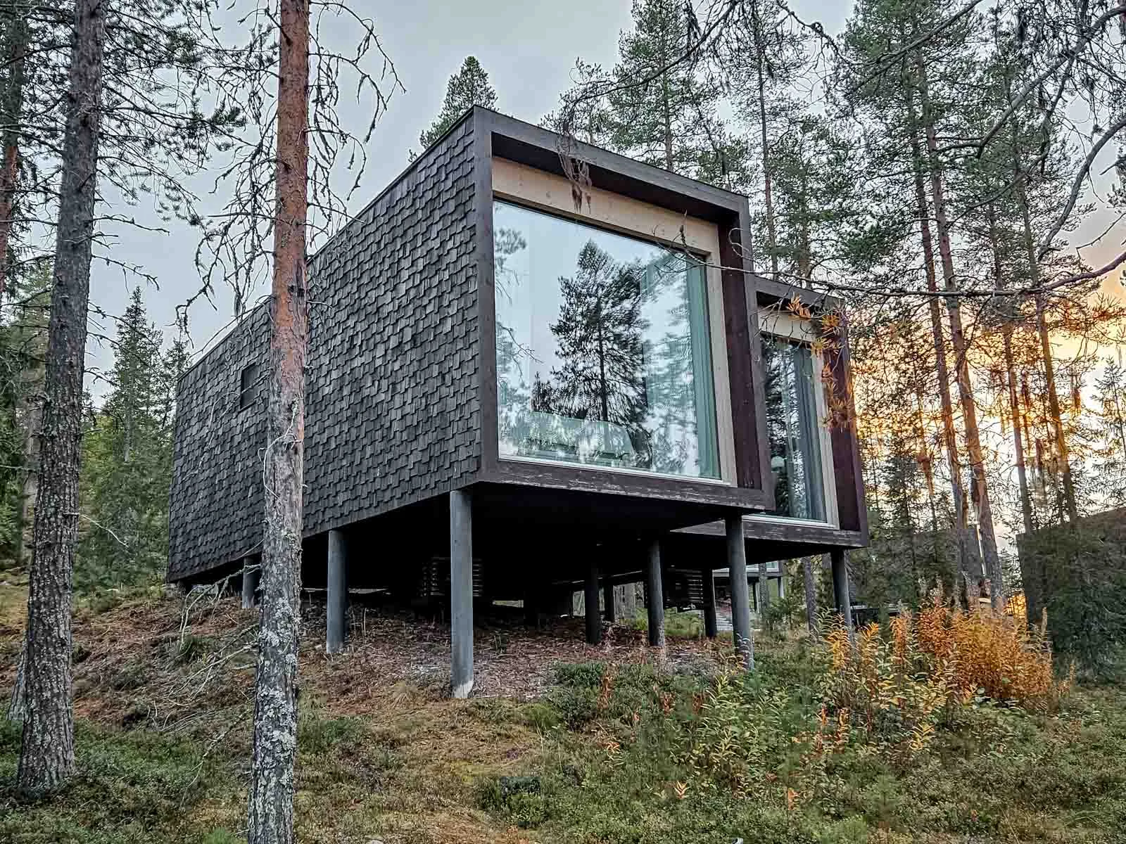arctic treehouse hotel 3