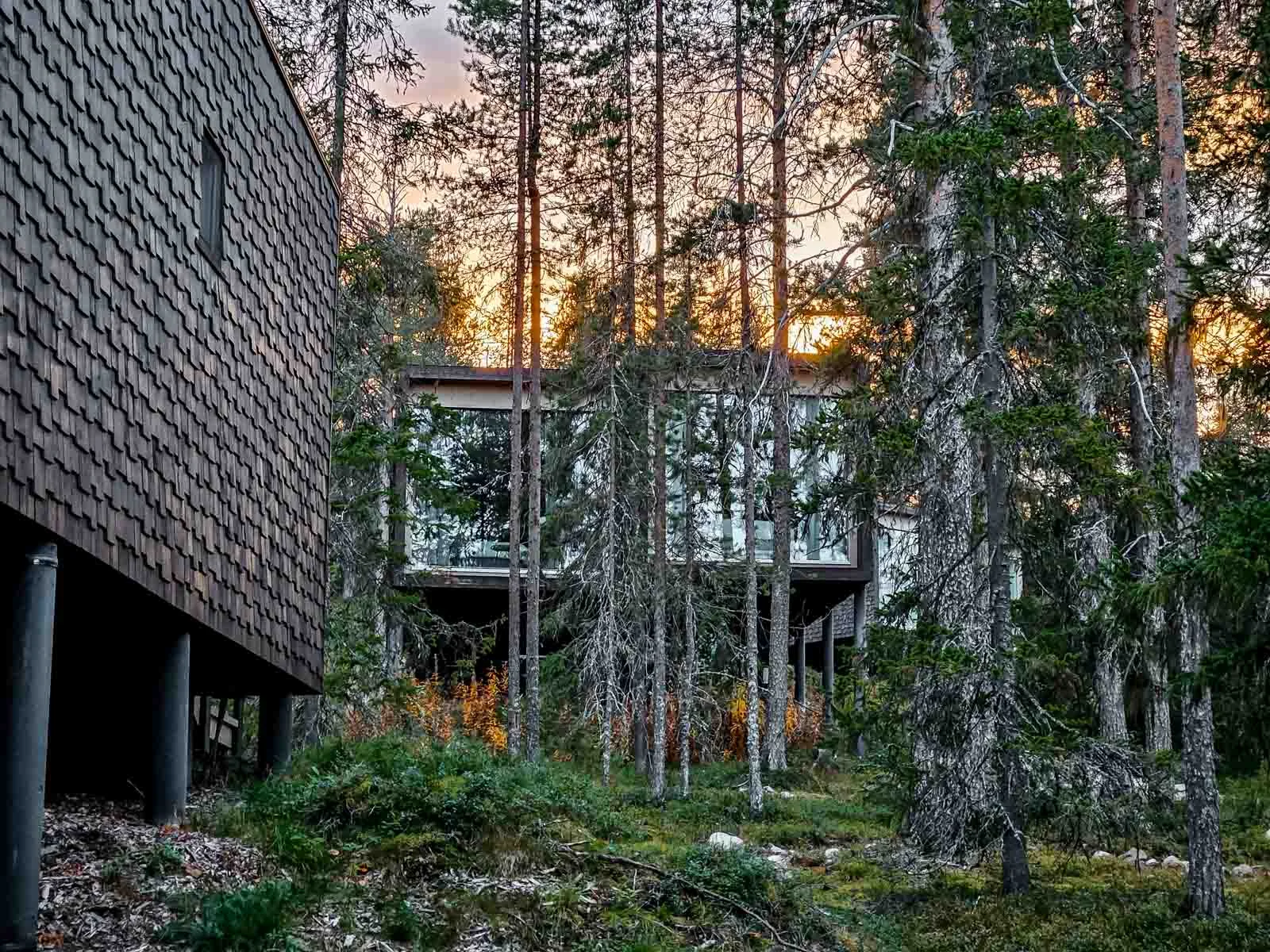 arctic treehouse hotel 4
