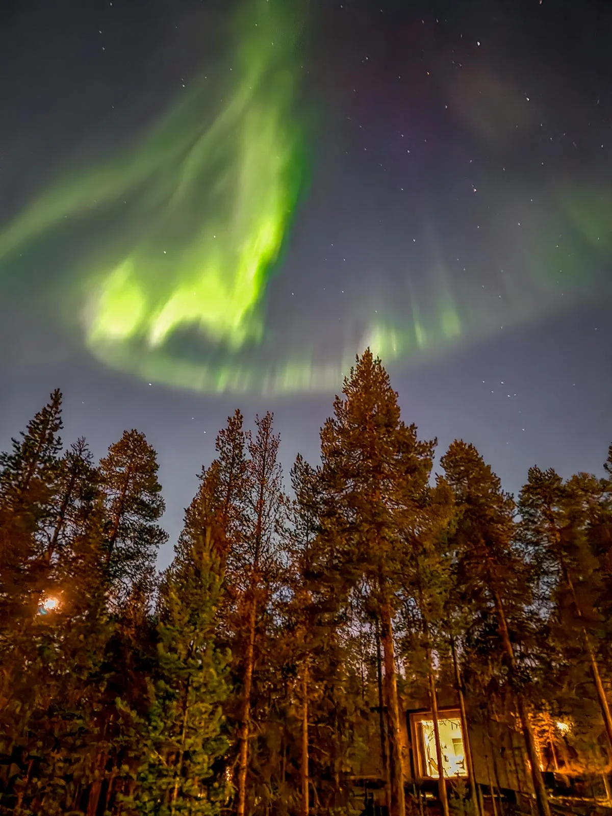 arctic treehouse hotel northern lights 1