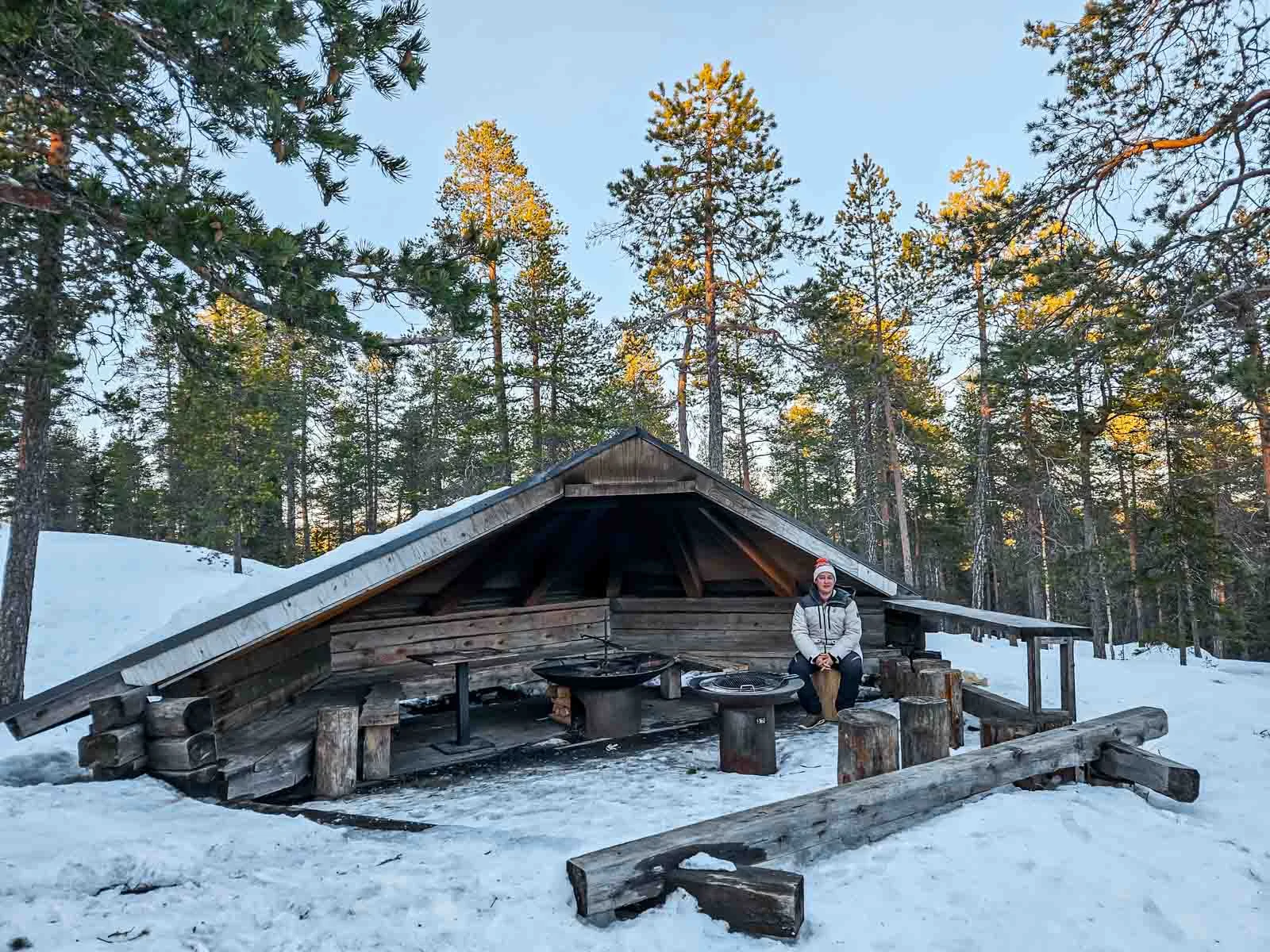 arctic treehouse winter 5