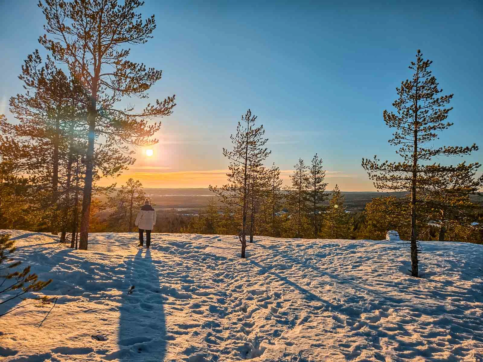 arctic treehouse winter 9
