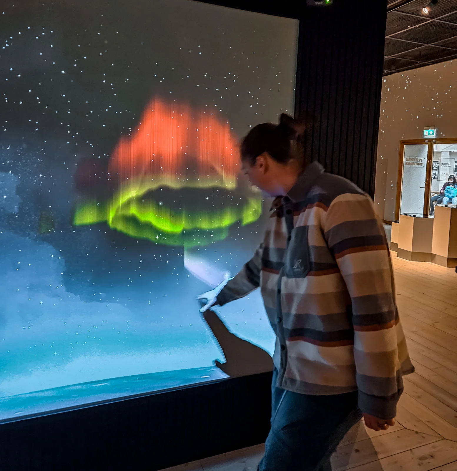 arktikum rovaniemi 4