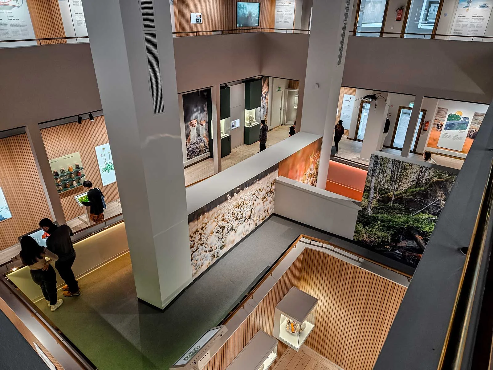 arktikum rovaniemi 5