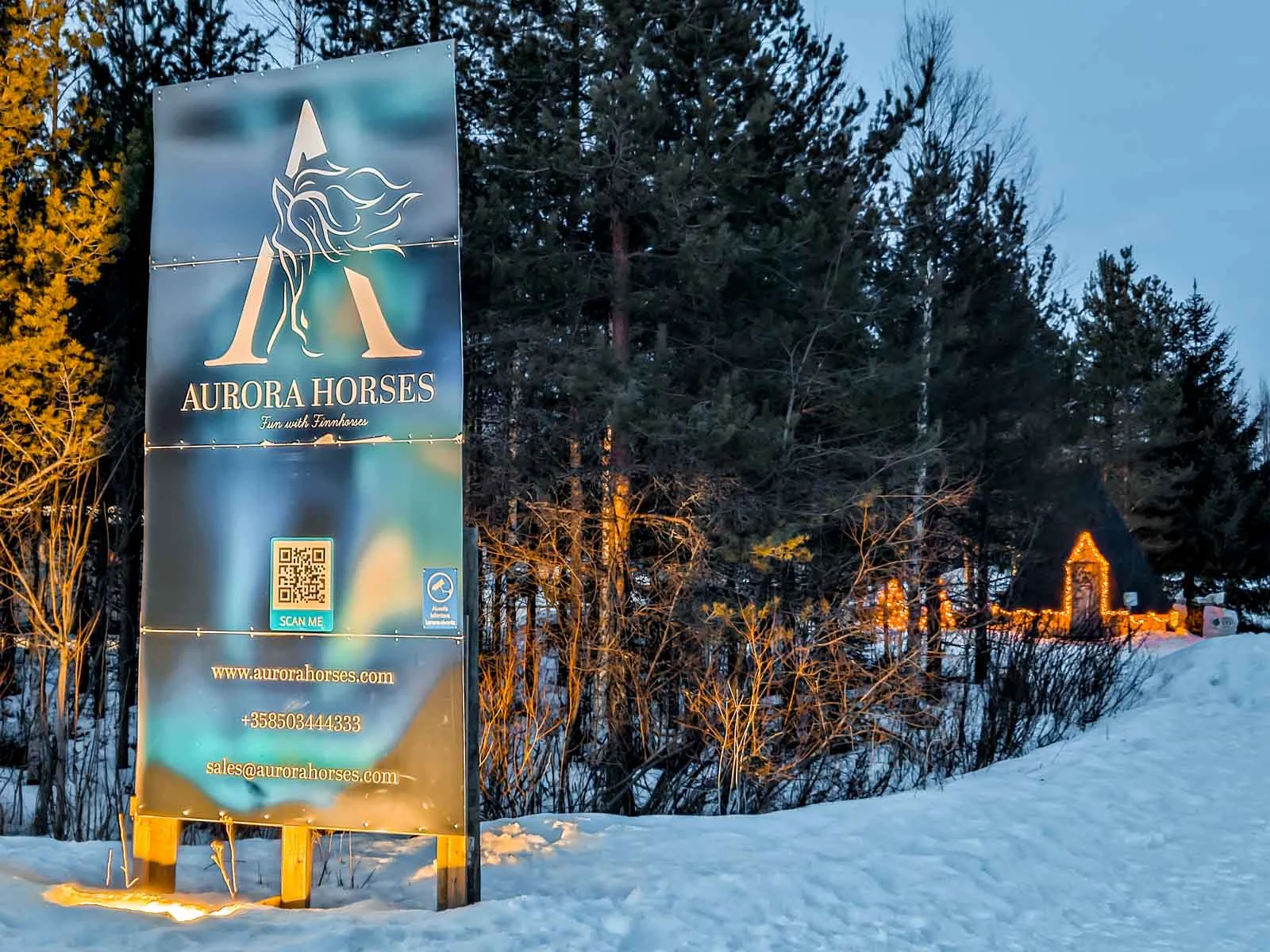 aurora horses rovaniemi