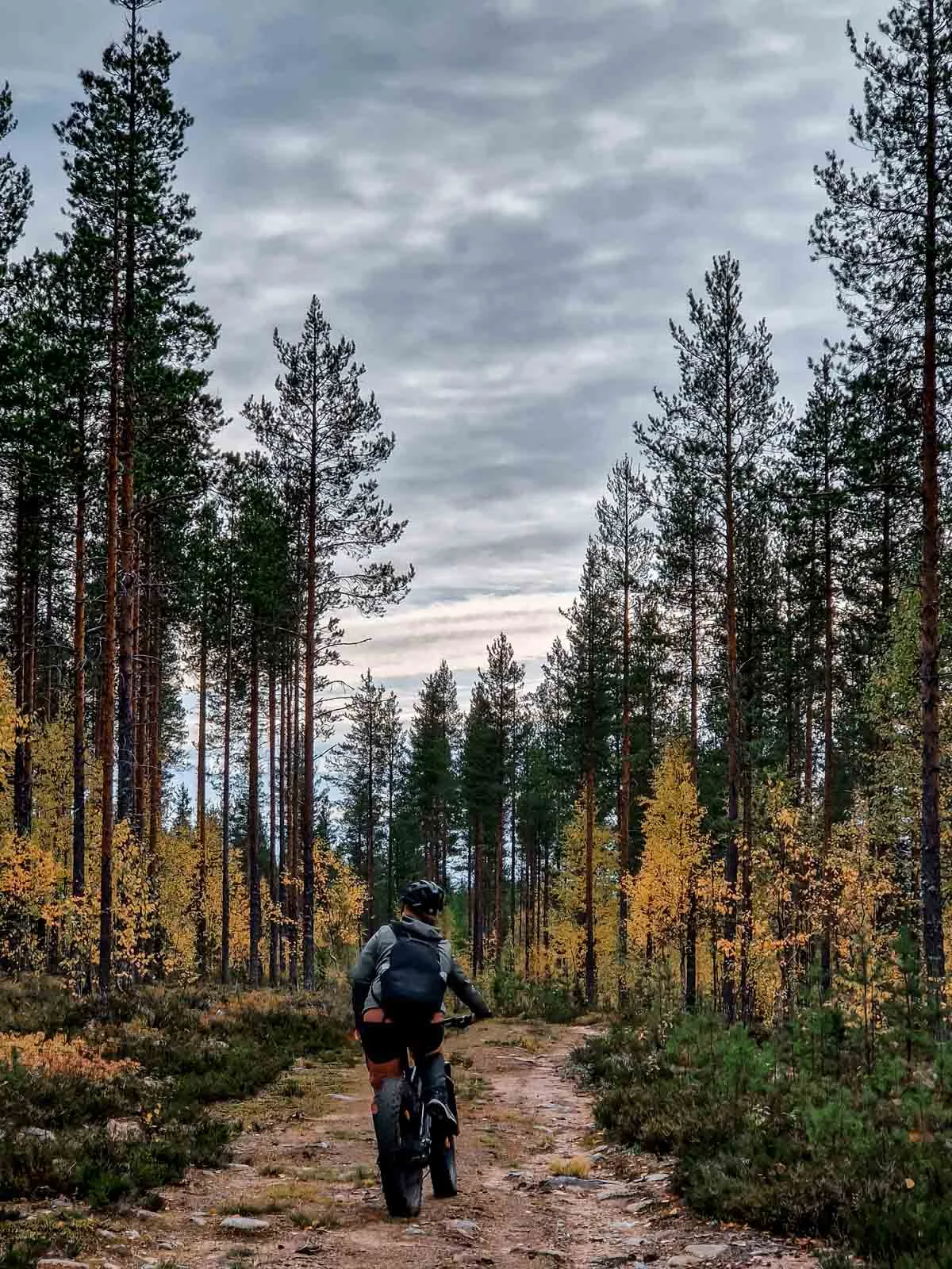 e fatbike rental 3
