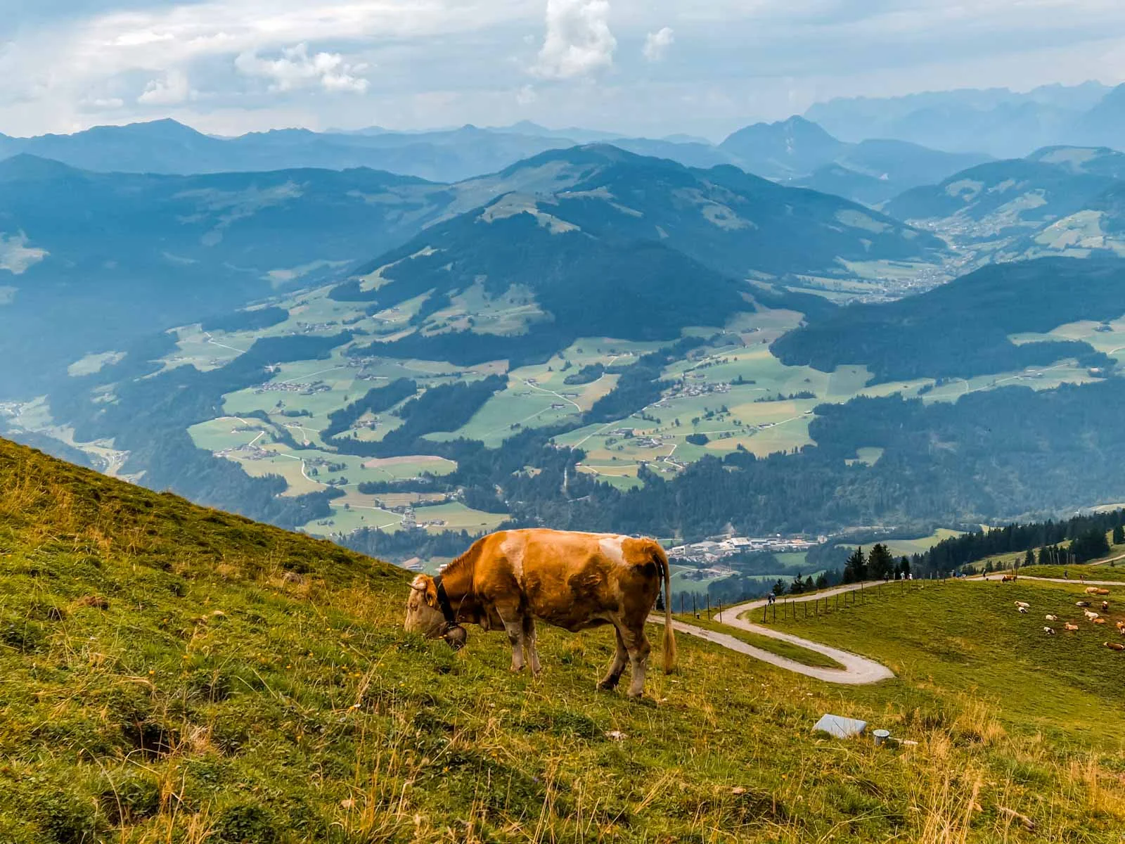 hohe Salve 3
