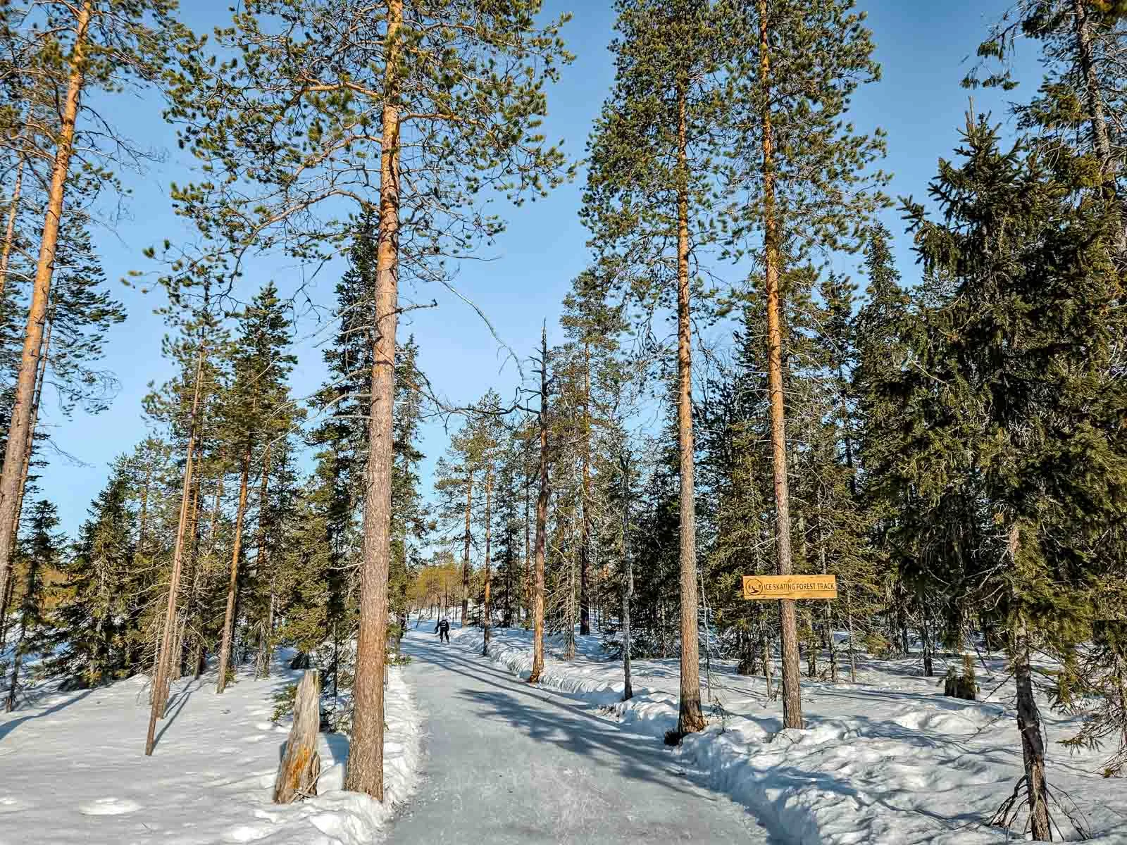 kotatieva winter park forest ice skating 1