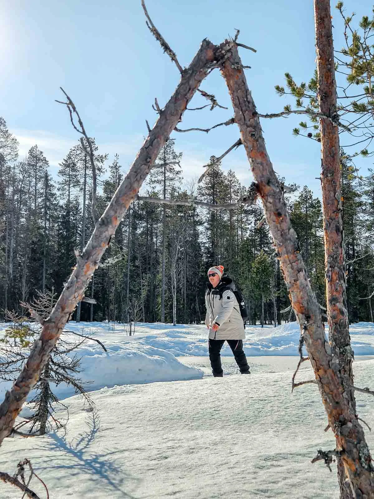 kotatieva winter park forest ice skating 3