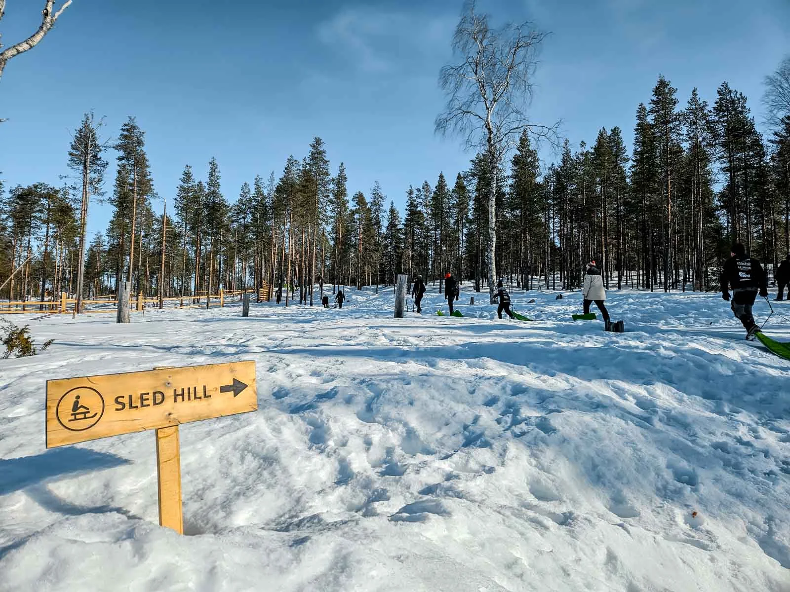 kotatieva winter park sled hill 3