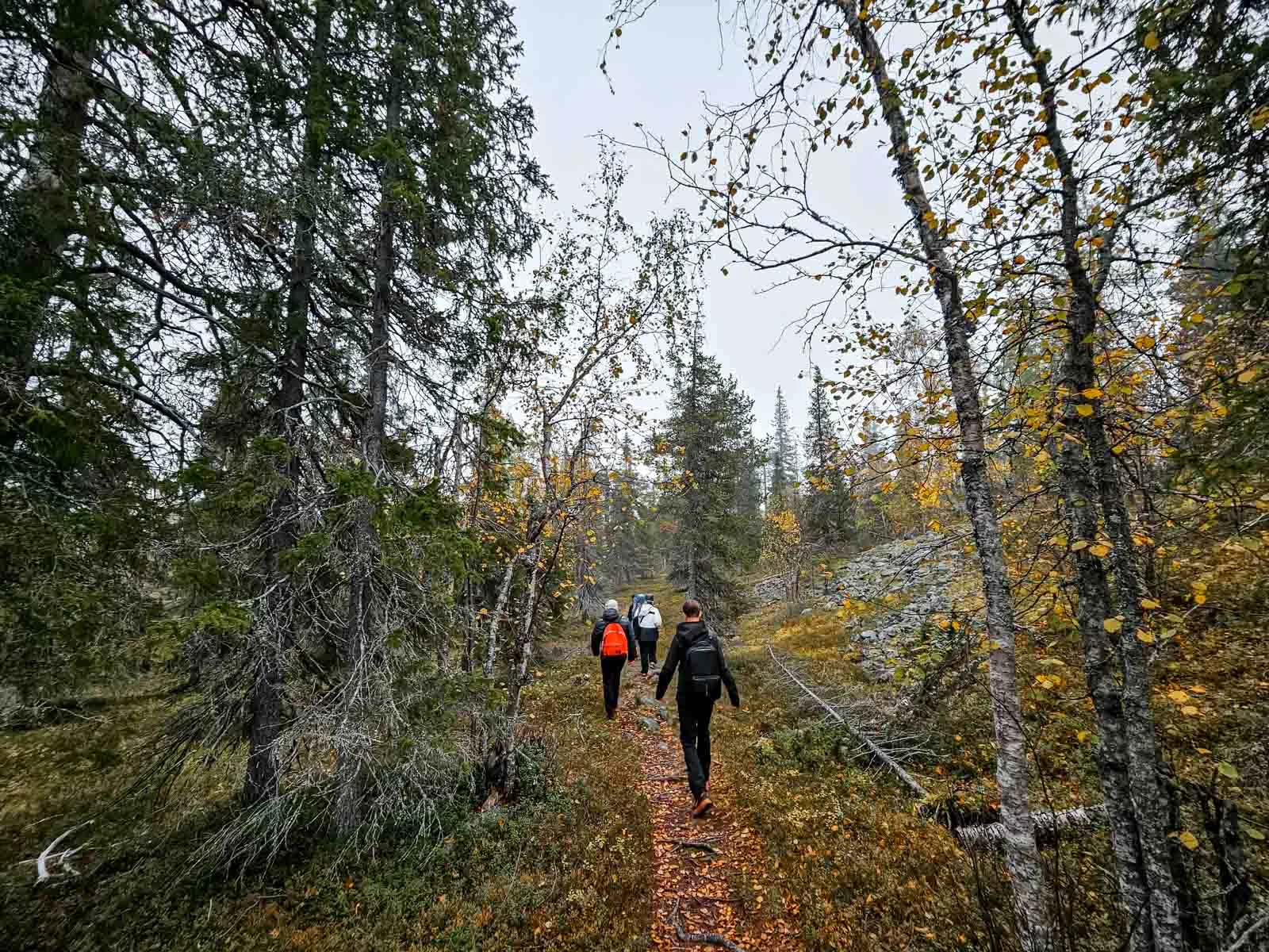 nordic odyssey tours amethyst mine 1
