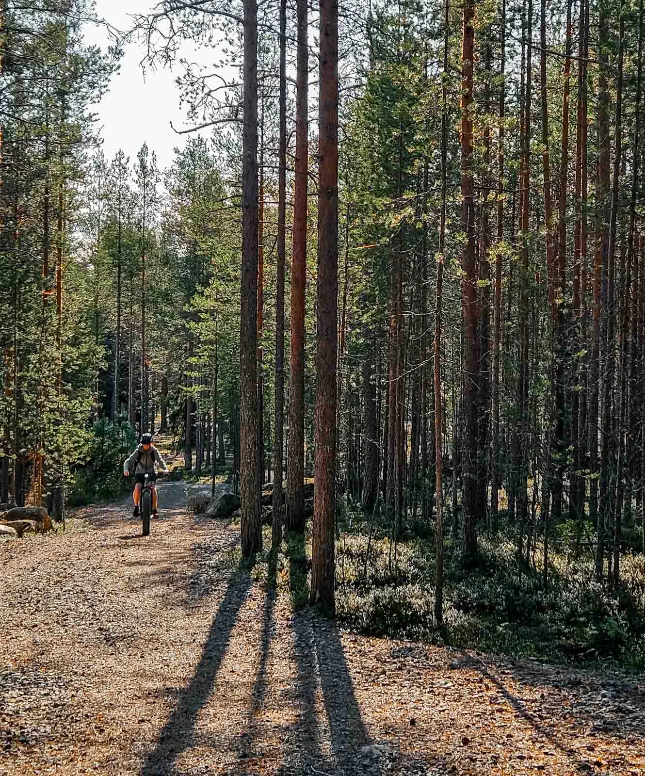nordic odyssey tours efatbike 3