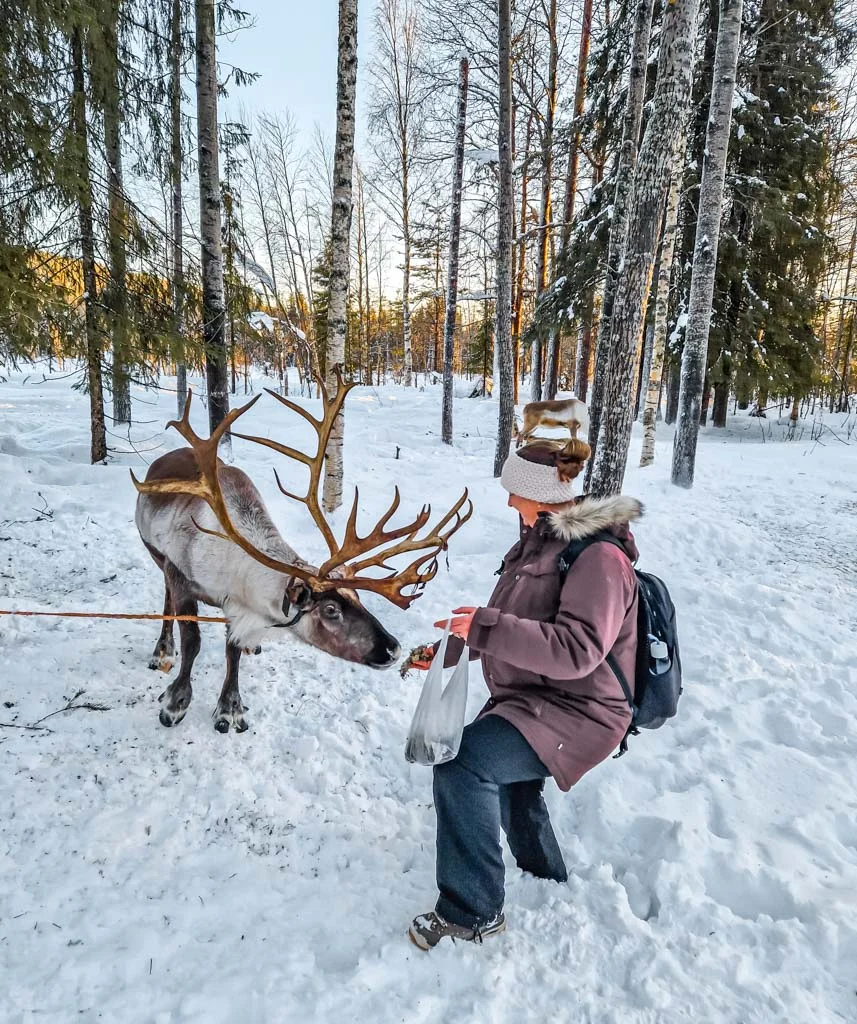 Reindeer Farm 2