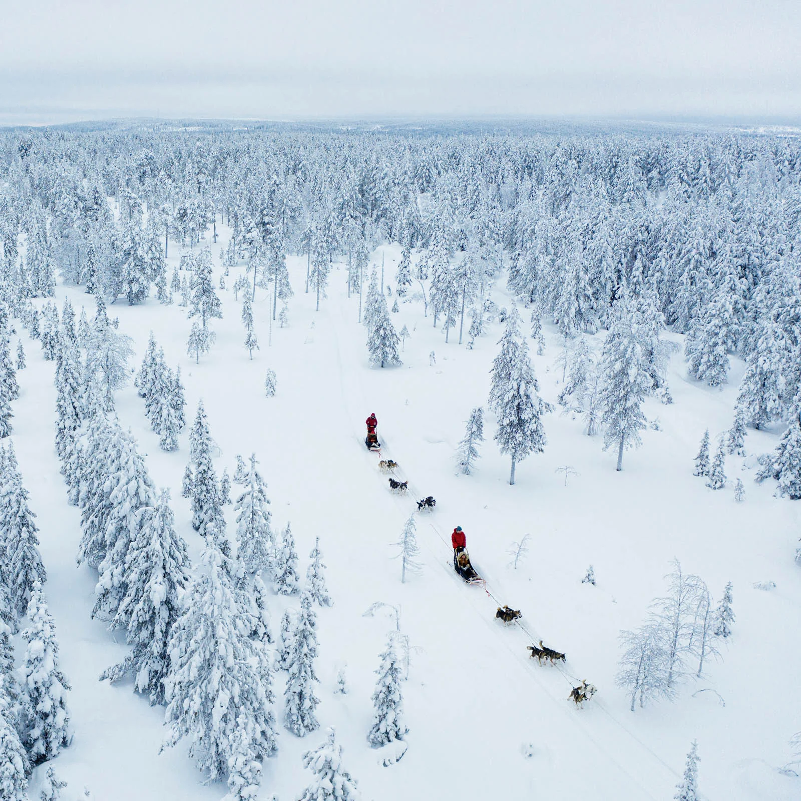 ruka kuusamo lammintupa huskyt
