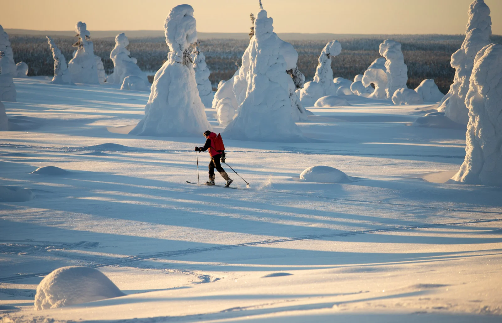 rukakuusamo outdoorpassionfinland riisitunturi SallaKarhumaa