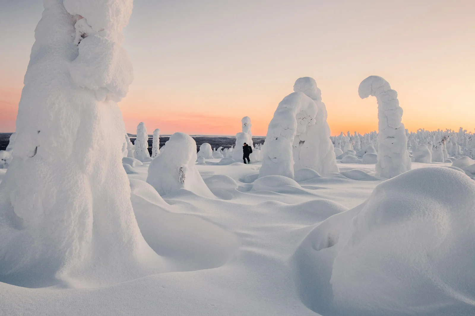 rukakuusamo riisitunturi eevamakinen