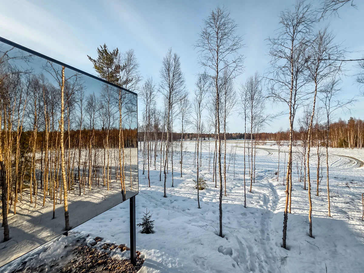 silver birch cabin 1