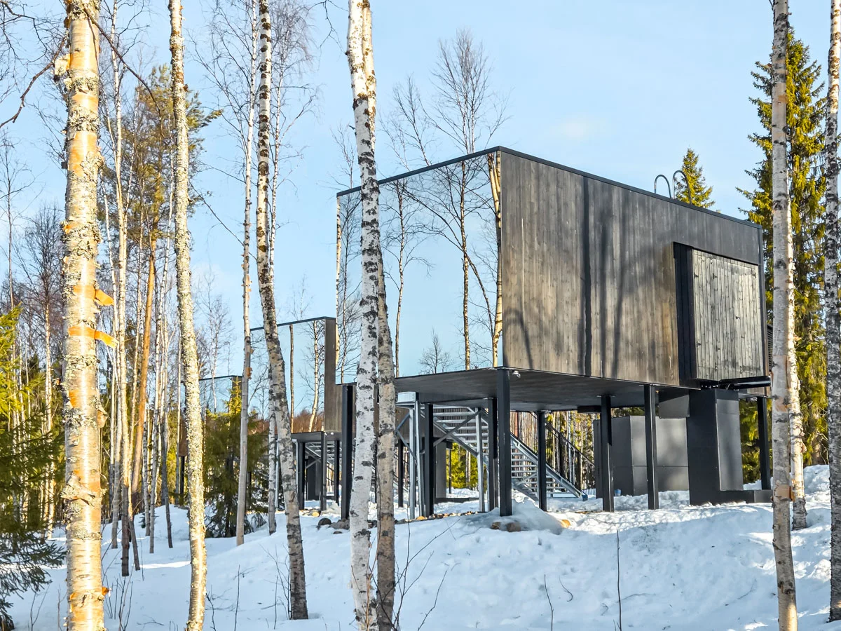 silver birch cabin 3