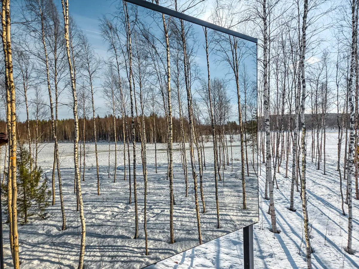 silver birch cabin 4