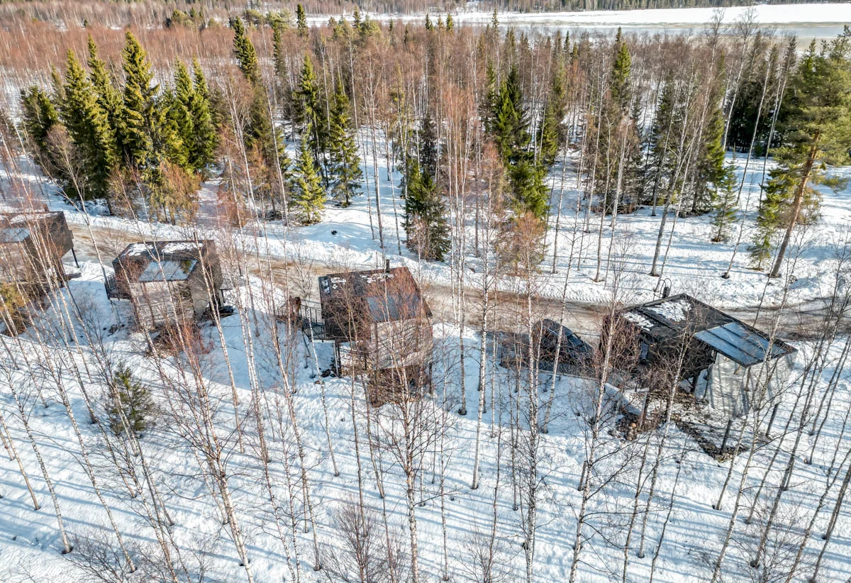 silver birch drone 3