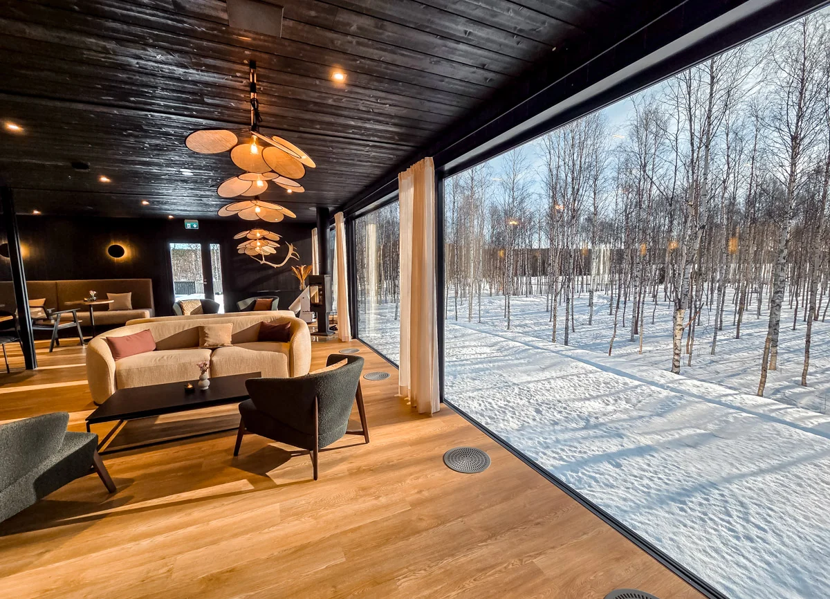 silver birch fireplace 2