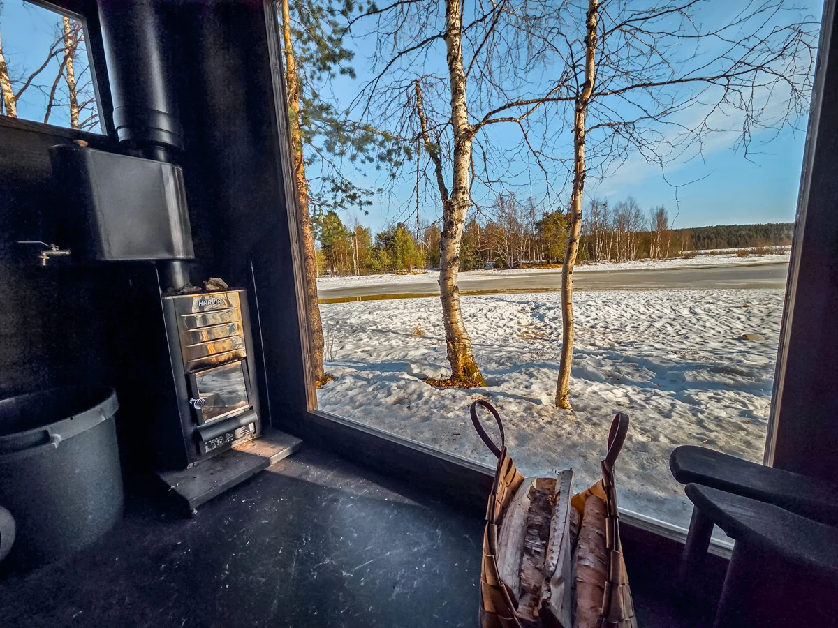 silver birch sauna 2