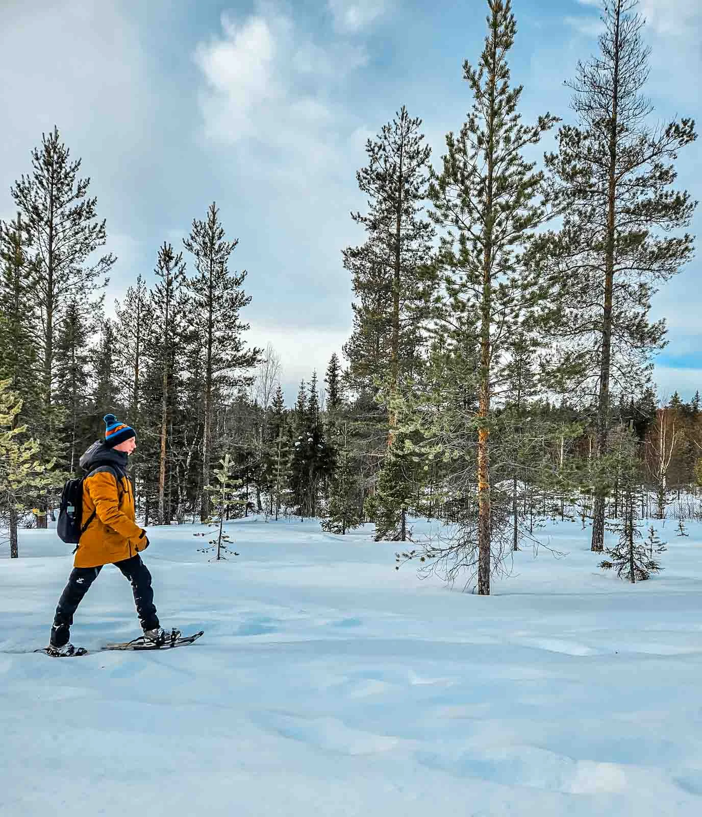 snowshoe 3